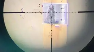 .25 cal Bullboss pcp air rifle
