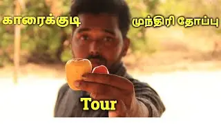 Karaikudi 300 Acre Munthiri Thoppu Tour | Ajith Vlogger