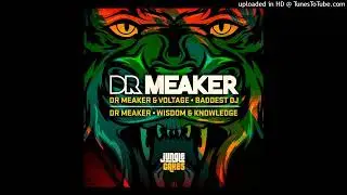 Dr. Meaker & Voltage - Baddest DJ *DnB*