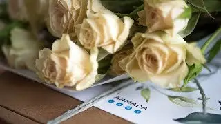 #IWD2019