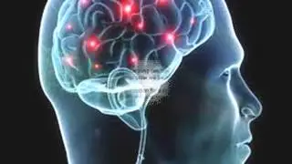 Improve Your Cognitive Abilities With Neuroluma