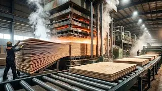 Inside the Plywood Factory &ndash; How Millions of Wood Sheets Are Pressed Into Furniture Boards