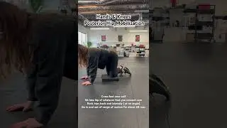 Hands and knees posterior hip mobilization