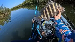 Another great day kayak fishing at Piney Point!
