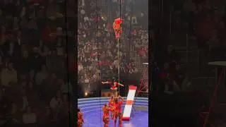 Troupe Brother&rsquo;s viral circus video, long version! 🤩 #ringlingbros