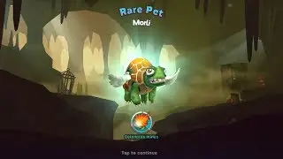 New Rare Pet Morli Unlocked - Hungry Dragon