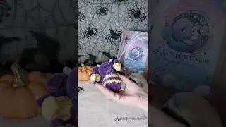 A close up of our little spider friend!