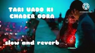 Tari yado ki chader odra / viral song / 300M + views / sad version ( slow and reverb)🥺