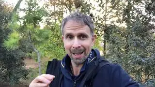 Passeggiata dopo mangiato