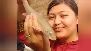 Sikkim teesta River Nhpc video // Family picnic // Eating jhalmuri // chicken 🐔 sekuwa😊🤪😋