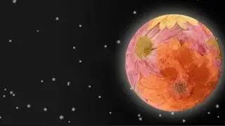 May Flower Moon