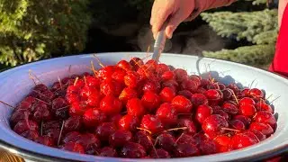 Transparent jam made from wild apples with stems.
