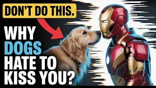 Why Your Dog Might Not Love Your Kisses!-Understand How Dogs Perceive Kisses