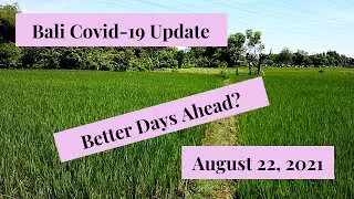 Bali Covid-19 Update:  August 22, 2021
