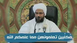تفسير : مُكلِّبين تعلمونهن مما علمكم الله .. د. عبدالحي يوسف