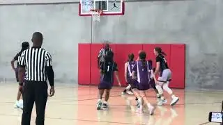 Fall Season Highlights