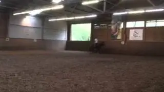 Riding in Harmony
