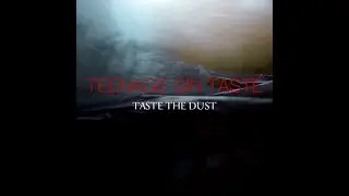 TEENAGE SIN TASTE -  Taste the dust
