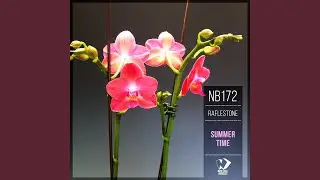 Feel the Ocean (Original Mix)