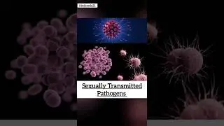 Sexually Transmitted Infections #shorts #bacteria #virus #fungi