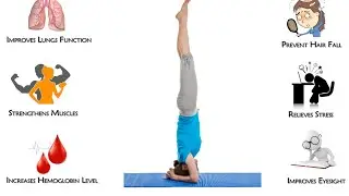 #Sirsasana #YOGA#exercise #BENEFIT IN KIDNEY DISEASE.