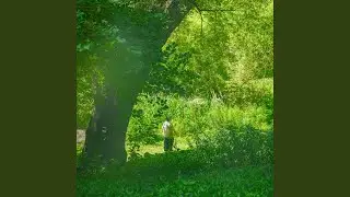Spring Equinox