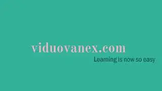 viduo vanex