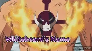 Whitebeard's Name (Whitebeard Song) (One Piece) (Suno AI)