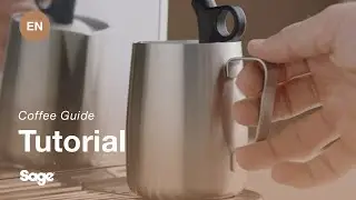 The Bambino&reg; Plus | A guide to adjusting the milk temperature and texture | Sage Appliances EN