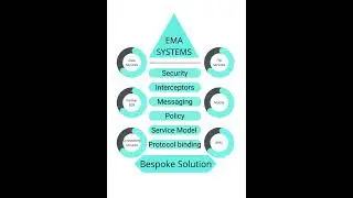 EMA Integrated Solution
