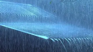 ASMR Magic Sleep Sounds: Heavy Rain on Tin Roof ✨ Deep Relaxation for Stress Relief