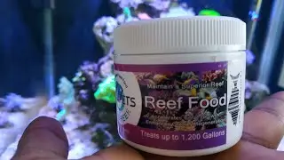 Probando  benepets (Benereef) alimento para corales