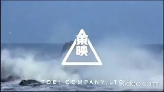 Toei Company Ltd./Xilam Animation (2013)