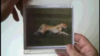 Christmas Gift Ideas for animal lovers. Affordable and Cool!