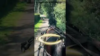 Koetsrit