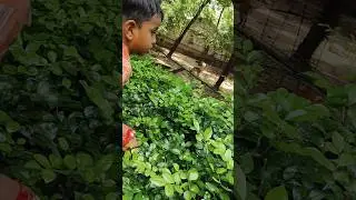 #hearttouchingshayari