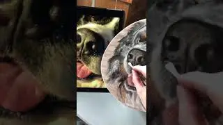 Oils on Porcelain: Conrad the Berner&rsquo;s nose
