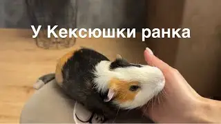 VLOG Михась прийшов-приємність приніс🥰