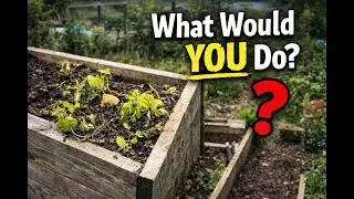What Would You Do? Raised Bed Advice, Homemade Compost & Allotment Tour