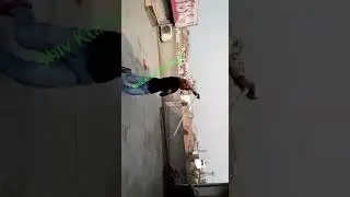 Shiv Kumar Kashyap Jila Gonda Dehras Chauraha
