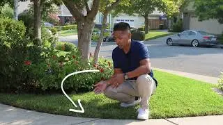 Easy Water Saving Tips: Properly Aiming Your Sprinklers | Conserve in Contra Costa | CCWD