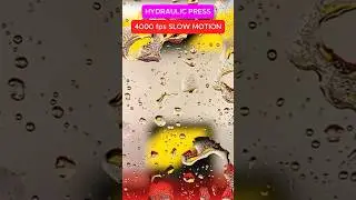 Hydraulic Press 4000fps SLOW MOTION EXPLOSION Squid Game Drink