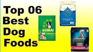 Dog Foods 2020:Top 6 Best Dog Foods (Buying Guide)