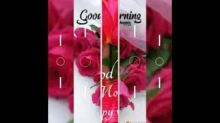 Happy Sunday#whatssppstatus#, morning wishes