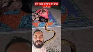 #snake #snakevlog