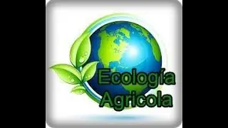 ECOLAGRO 21 CL 289 A