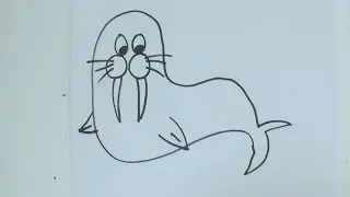 How to draw cartoon  walrus
