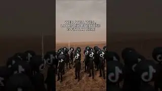 Day 4 of the Algorithm Battle