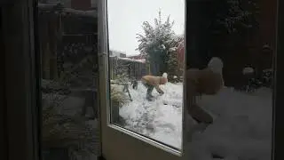 MAKING MY FIRST SNOWMAN. 