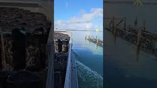 Riptide Oysters - Out to the Lease - Coffin Bay | South Australia